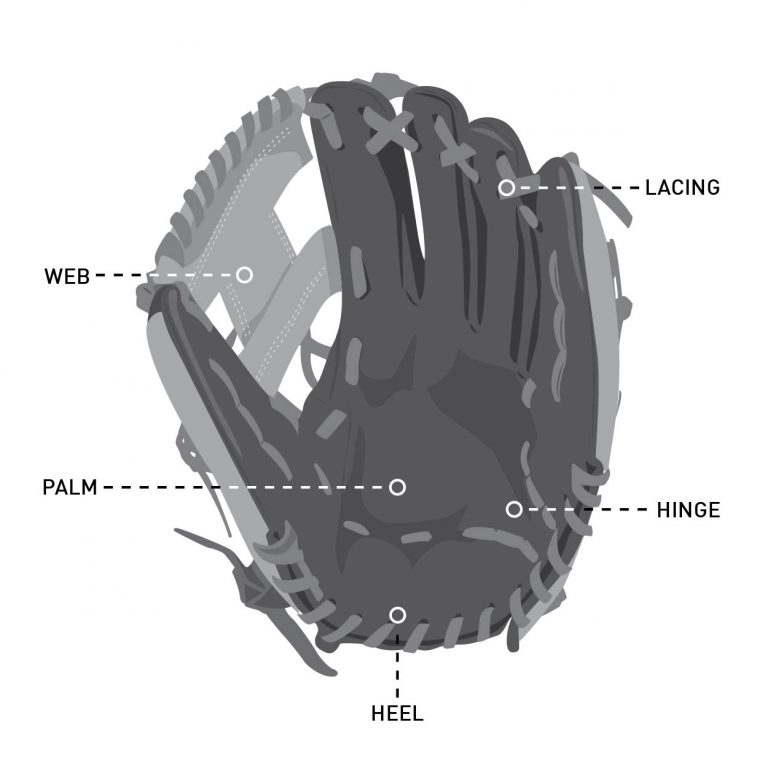 Part of a baseball glove